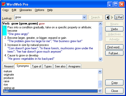 wordweb-3